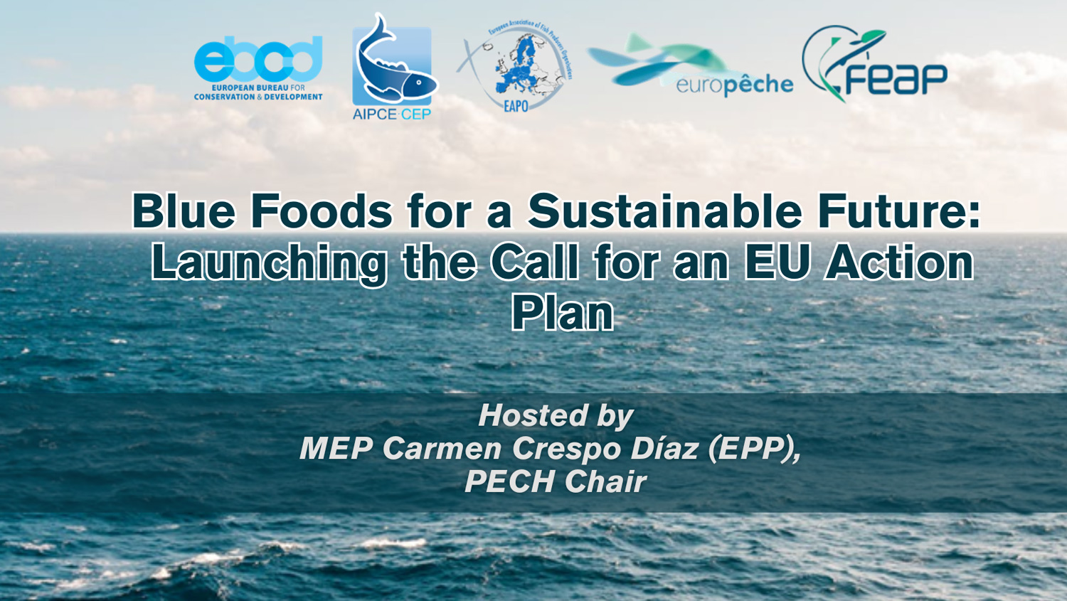 Event banner with a photo of the sea as a background, 5 partner logos in a row at the top, event title 'Blue Foods for a Sustainable Future: Launching the Call for an EU Action Plan' in the center and extra event info in smaller font at the bottom.