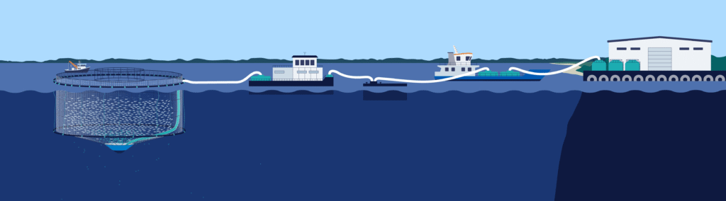 How does sludge collection technology work? - AQUAPHOENIX