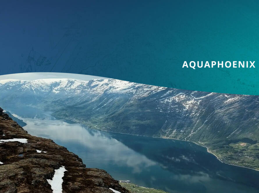 A header image for a second newsletter article: top part of it has a gradient teal texture background with the bottom getting cut off in a shape of a wave and white right aligned text saying "AQUAPHOENIX News, ISSUE 2". The bottom part of the image is a photo of Norwegian fjords.