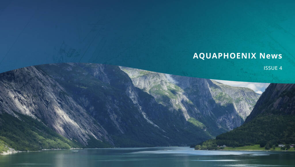 A header image for the fourth newsletter article: top part of it has a gradient teal texture background with the bottom getting cut off in a shape of a wave and white right aligned text saying "AQUAPHOENIX News, ISSUE 4". The bottom part of the image is a photo of Norwegian fjords in summer.