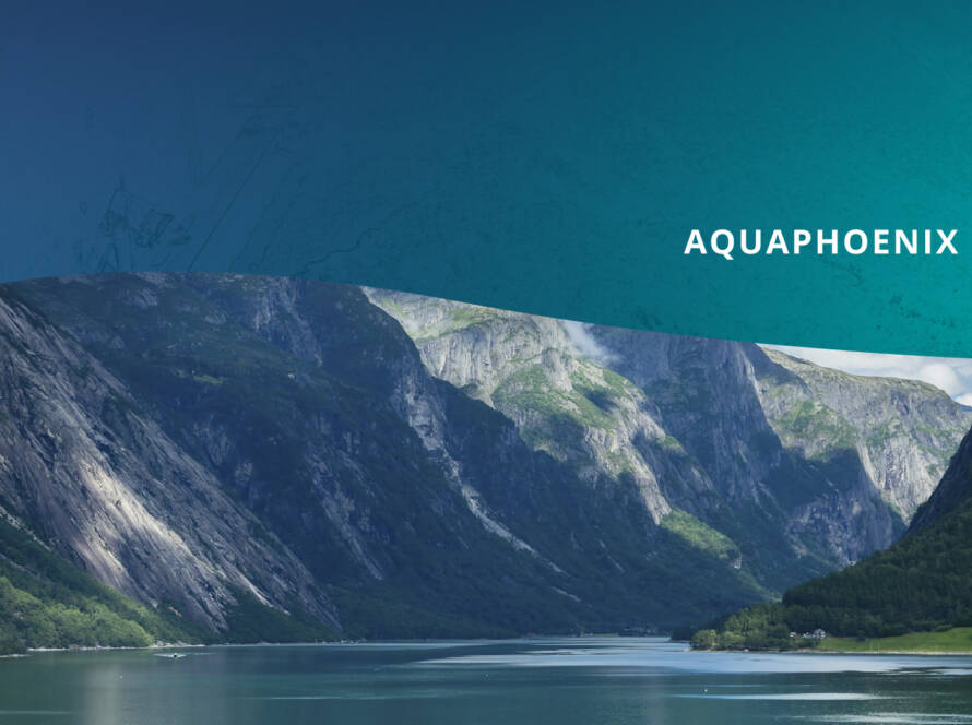 A header image for the fourth newsletter article: top part of it has a gradient teal texture background with the bottom getting cut off in a shape of a wave and white right aligned text saying "AQUAPHOENIX News, ISSUE 4". The bottom part of the image is a photo of Norwegian fjords in summer.