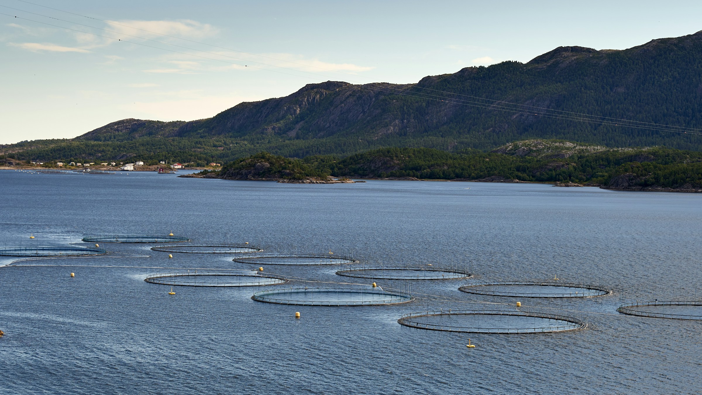 A photo of aquaculture fish pens tops floating above water with fjords in the background.
